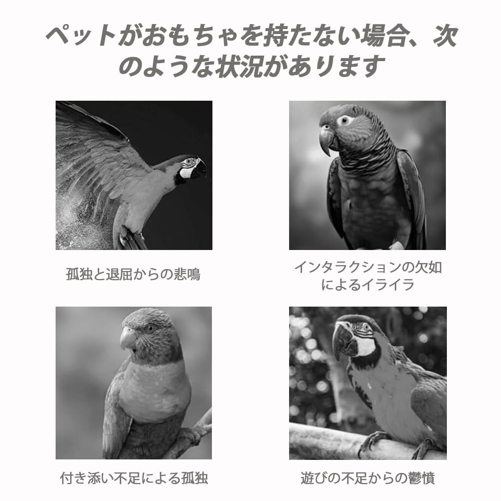 Amazon | GOODCHI インコ止まり木 鳥用止まり木 丈夫 ストレス解消